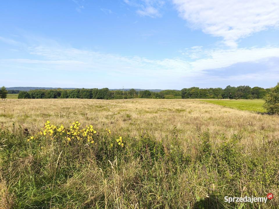 Z dala spojrzeń sąsiadów Chocielewko