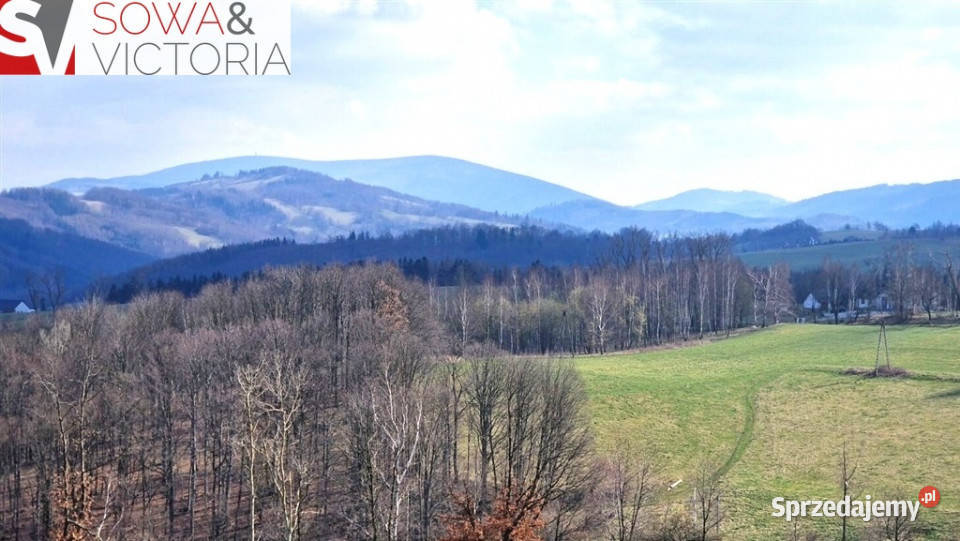 Panorama Góry Sowie Zagórze Śląskie