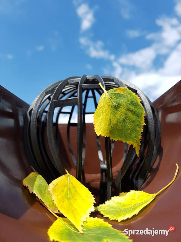 FILTR RYNNY RYNIEN KOSZYCZEK SITKO CZYSZCZAK DO Jasło