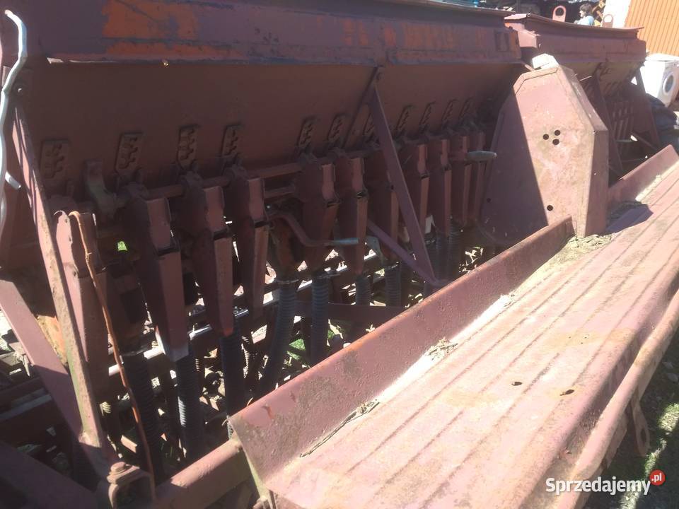 Siewnik rosyjski 4m Tarnawce