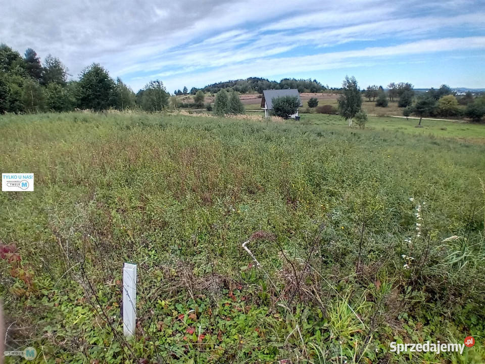 Grunt Morawica 800m2 kanalizacja sprzedam