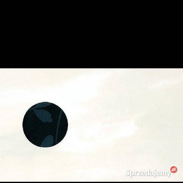 Dekor Hiroe bianco Wycinane 25 x 40 Paradyż Białogard