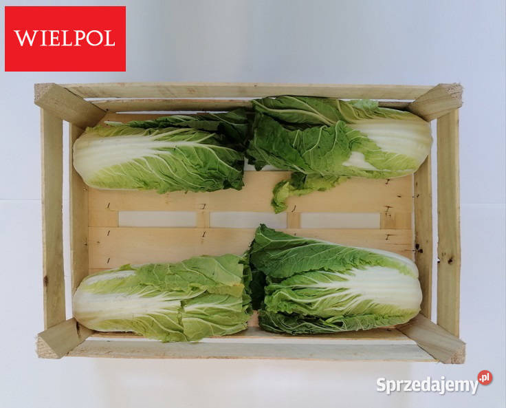 Sprzedam skrzynki drewniane z łuszczki Wielichowo