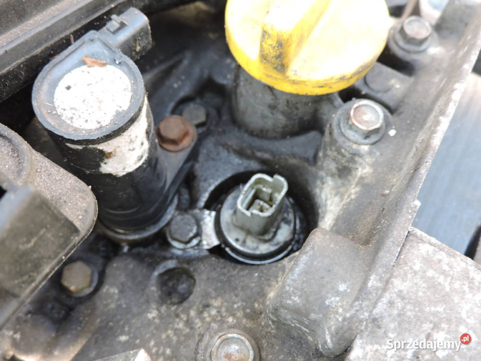 Silnik Renault scenic II 16 16V 115 Silniki kompletne Myszków