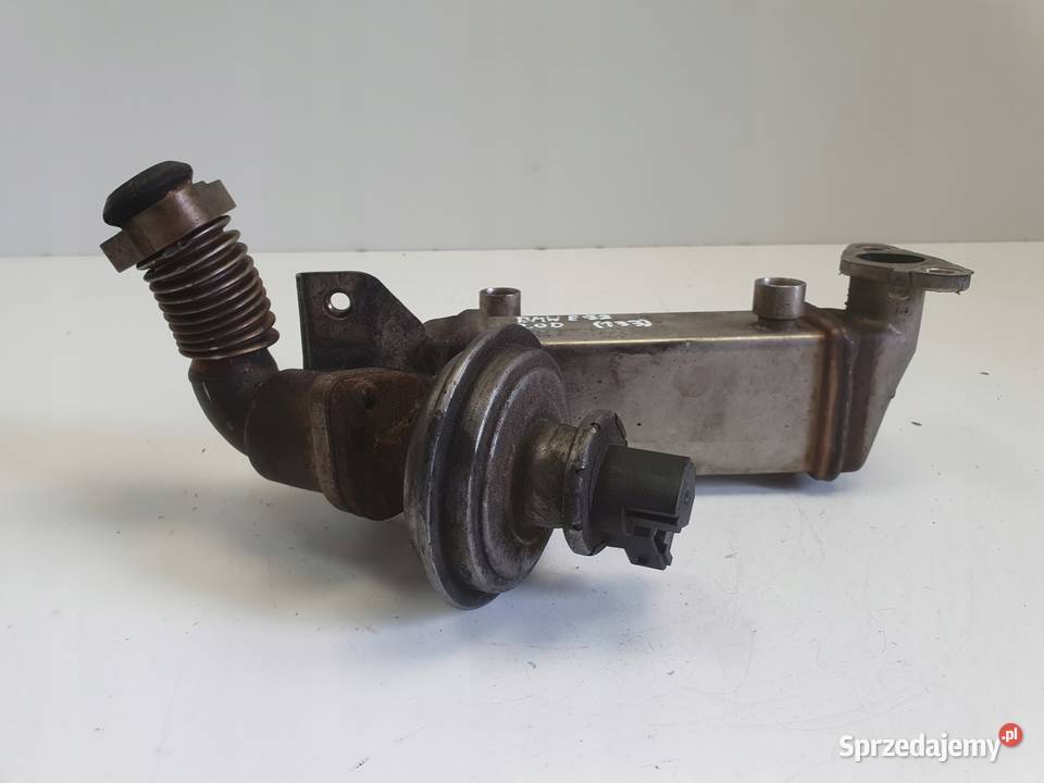 BMW E87 E90 E91 20 D CHŁODNICA SPALIN EGR lubelskie Chełm sprzedam
