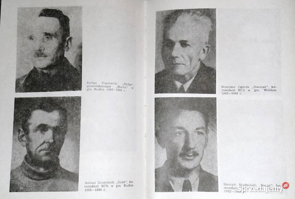 Z konspiracji w Lubartowskiem Wspomnienia Chełm