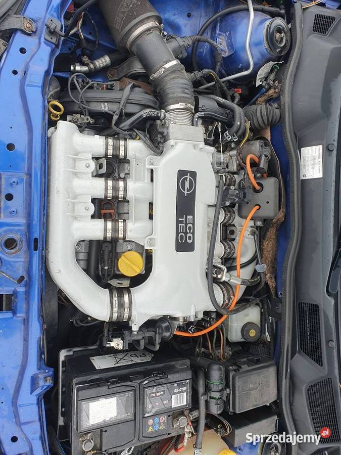 Opel Astra G Bertone 25 V6 Telatyn