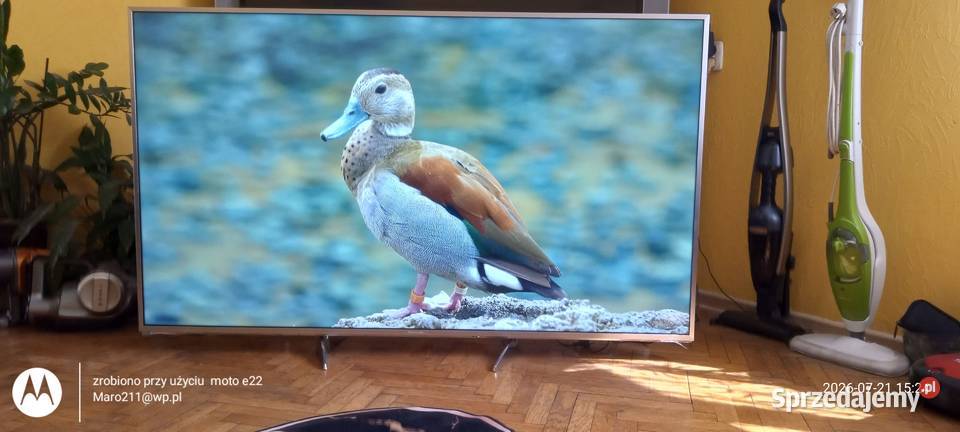Panasonic TX65EXW734 Smart HDR 4K Panasonic Telewizory Lubsko