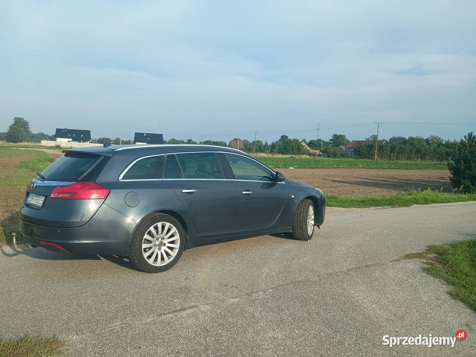 Opel Insignia 20 CDTI Sports Tourer 2009 1956cm3 dolnośląskie Miłkowice