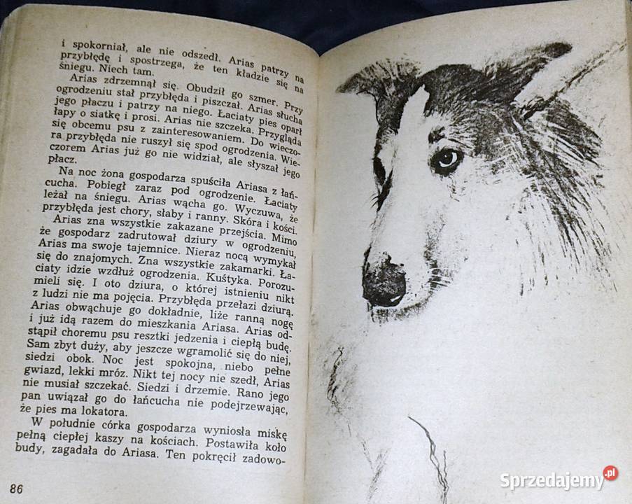 Włóczęga i inne opowiadania Maria Terlecka Chełm