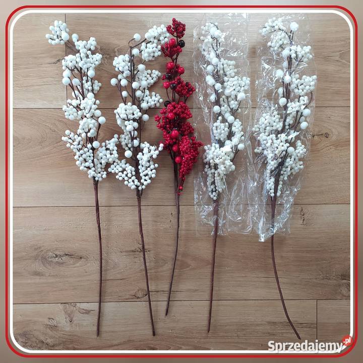 Gałązka bawełny dekoracyjna ostrokrzew Koszalin sprzedam