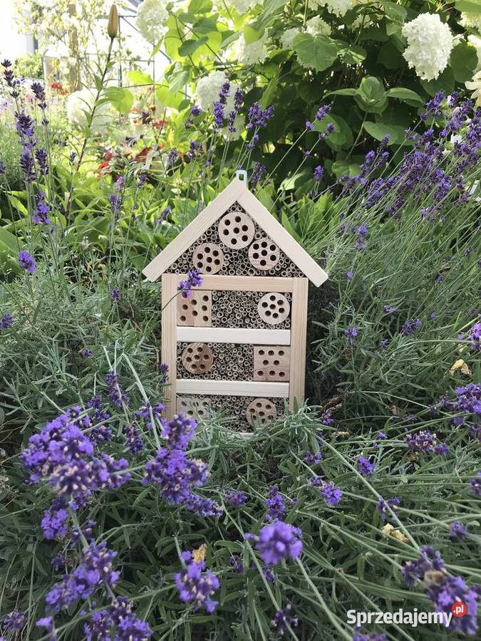 domek owadów pszczoły murarki Sławno