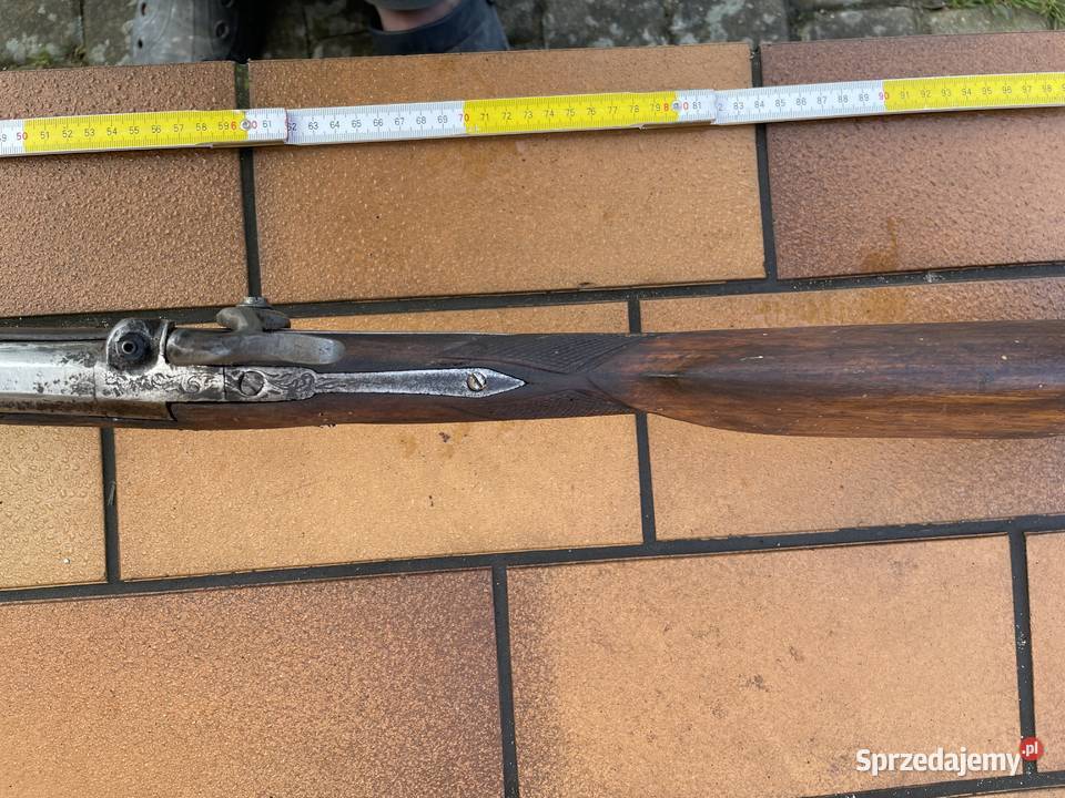 Ptaszniczka belgijska kapiszonowa Sporty strzeleckie i myślistwo Czaplinek