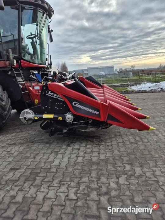 przystawka do kukurydzy geringhoff msh Buk