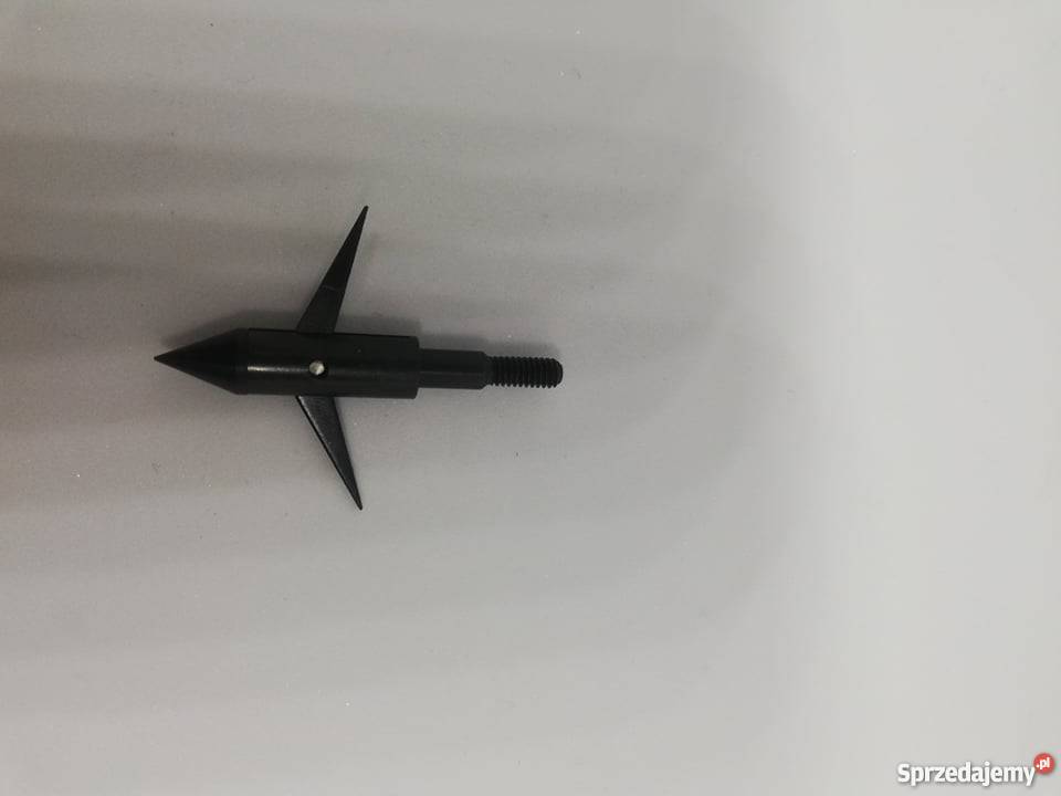 Groty do polowań na ryby bowfishing myśliwskie Nowy Sącz