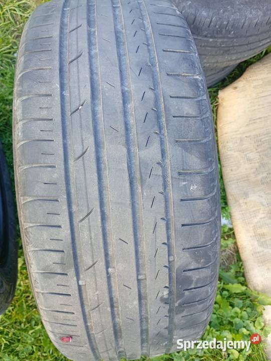 Opony letnie GT radial 2155517 lato podkarpackie