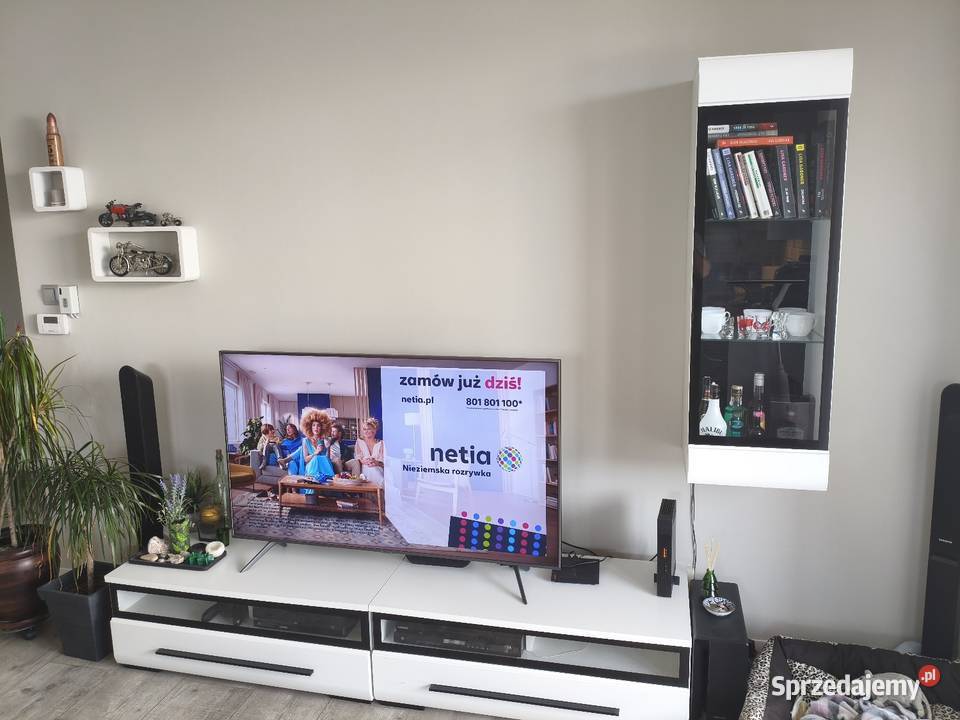 Szafka RTV z witryną wielkopolskie