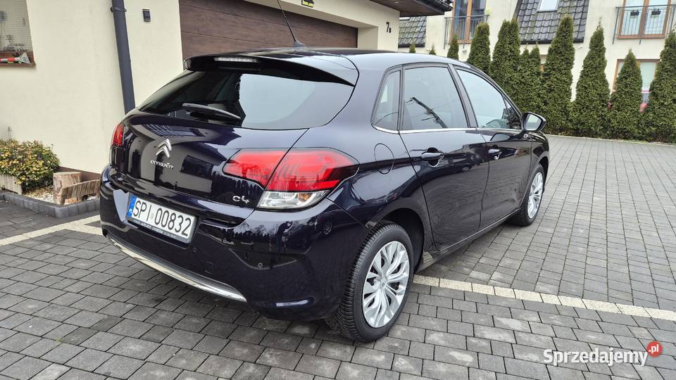 Citron C4 Ładny BEZWYPADKOWY Krajowy 1 nieuszkodzony