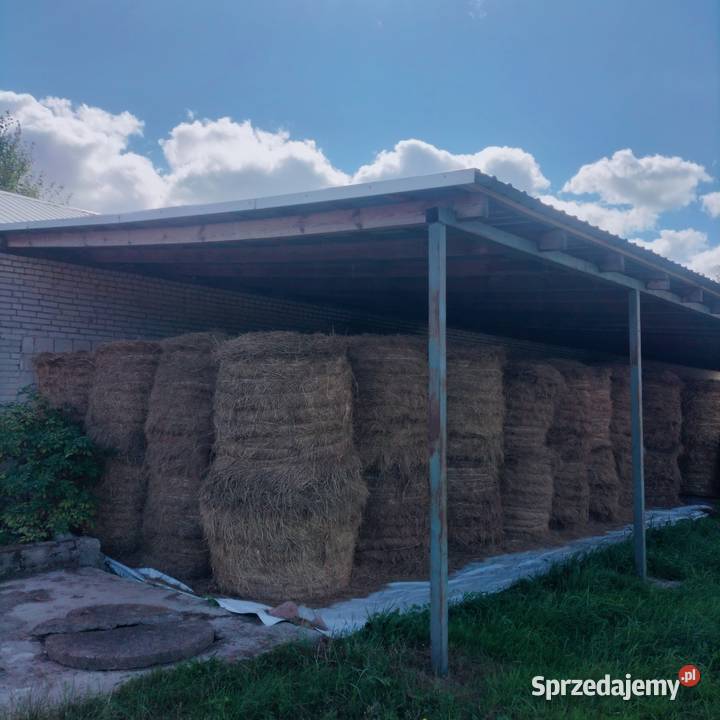 Sprzedam Siano i Słomę Żytnią Owsiankę 120120 lubelskie Szóstka