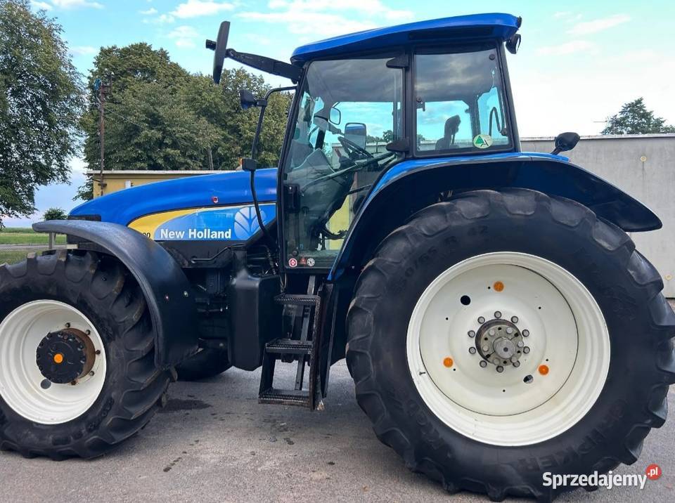 Holand TM190 wielkopolskie Kuczyna