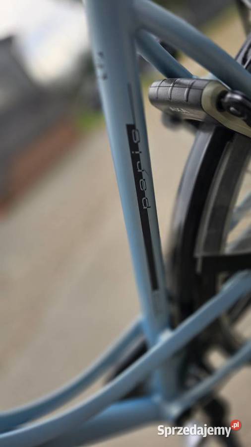 Rower gazelle Paris plus damka holenderka led