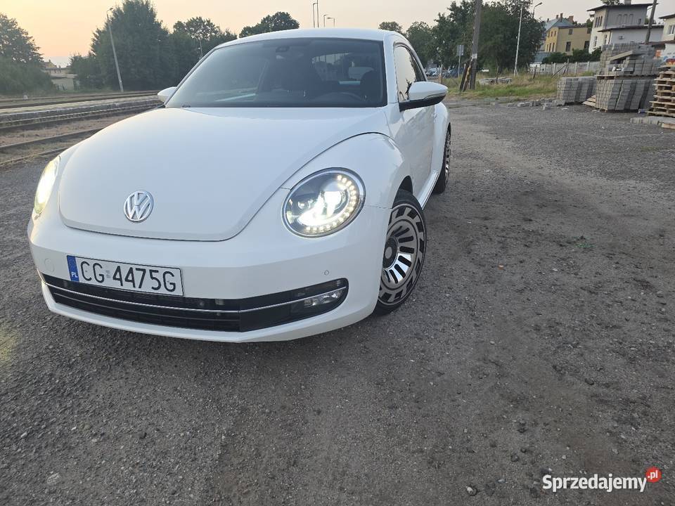 Beetle światła LED Gryfice sprzedam