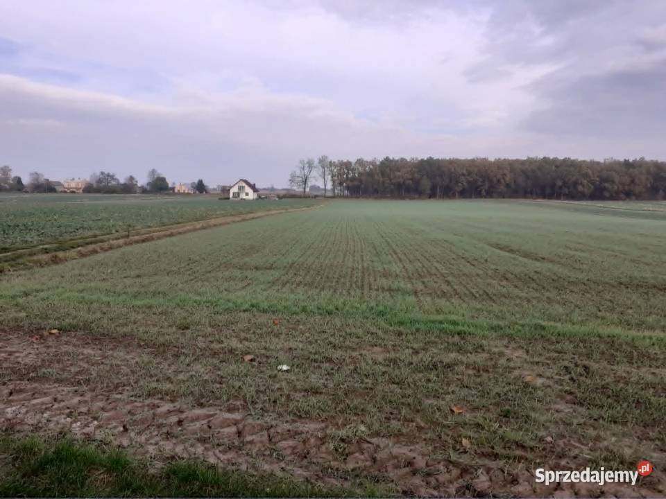 Działka budowlana zagrodowa Wólka Horyszowska Zamość