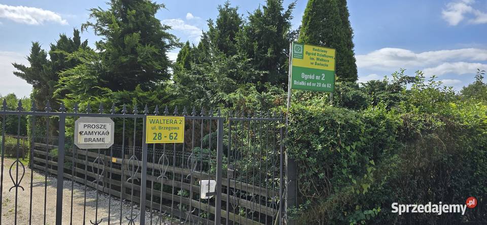 Sprzedam działkę ROD Ogród Waltera 2 480m2 kujawsko-pomorskie