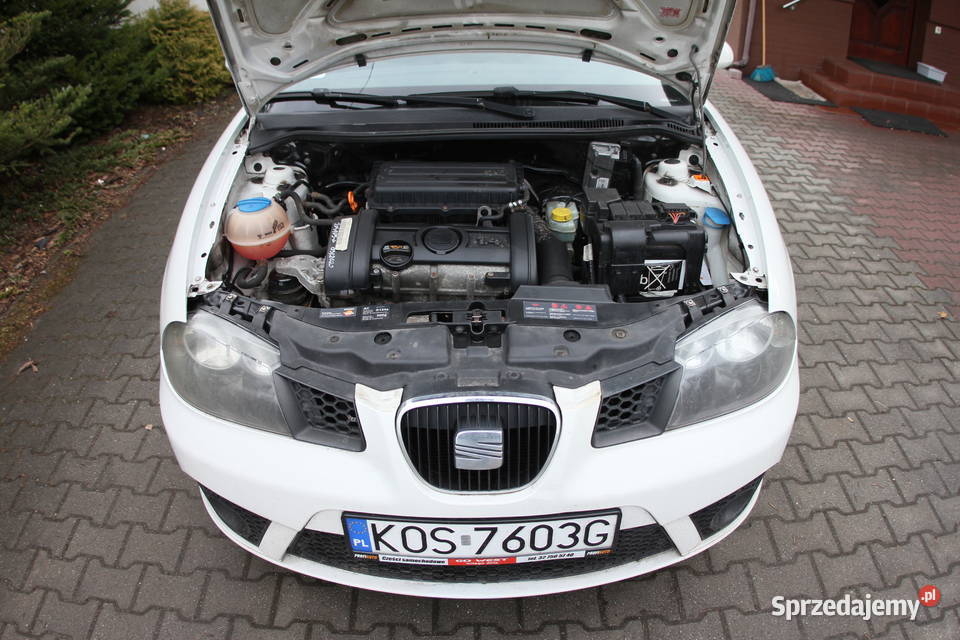 SERWISIE klima automatyczna zarejestrowany