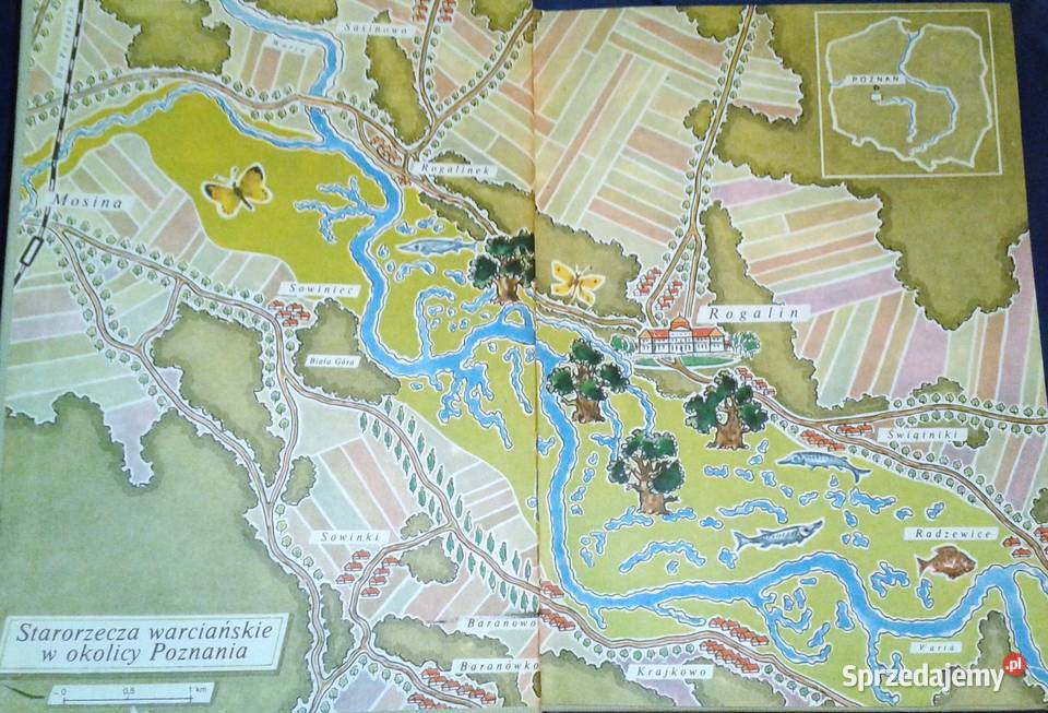 Mój ojciec i dęby Arkady Fiedler twarda z obwolutą lubelskie