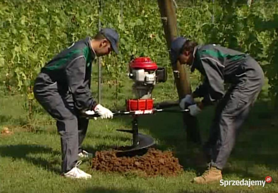 WIERTNICA SPALINOWA DWUOSOBOWA T170HO BLUEBIRD Opalenica