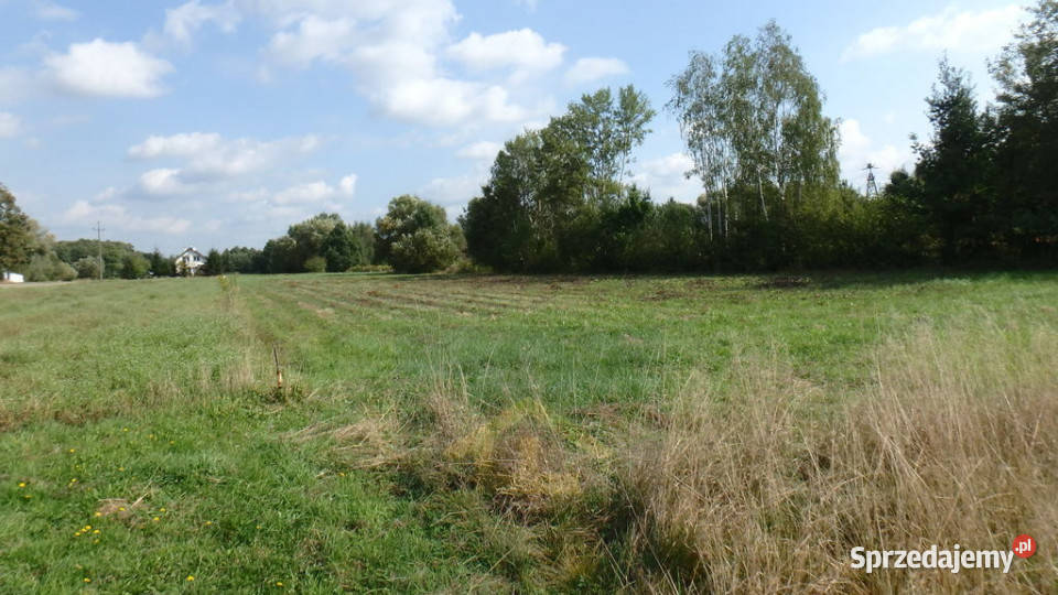 Działka budowlana w Ostrowie