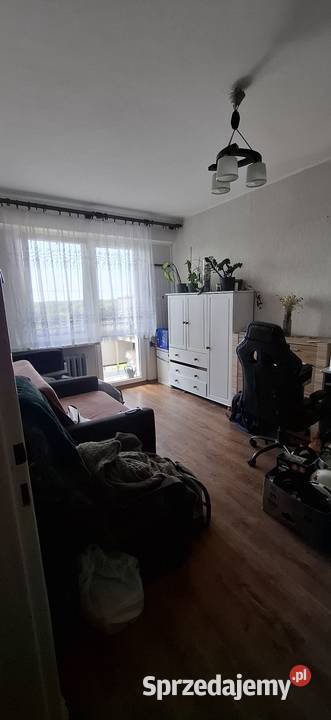 Wynajmę mieszkanie Wąbrzeźno sprzedam