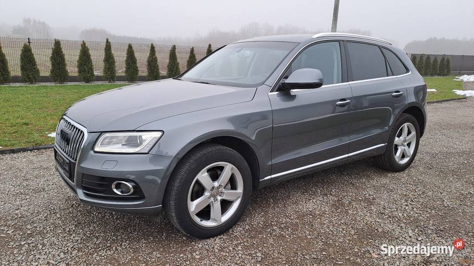 Audi Q5 20 Tdi 150 Quattro 2016r Dąbrowa Tarnowska