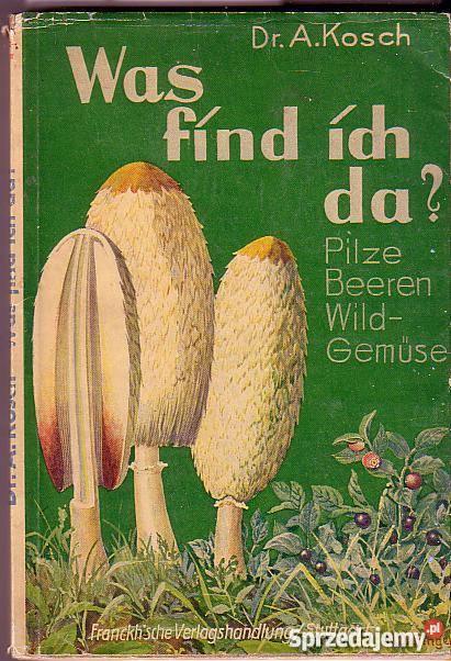 689WAS FIND ICH DA PILZE BEEREN WILDGEMUSE AKOSC Czyrna sprzedam