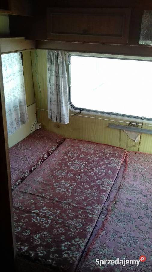 Przyczepa Camp Wilk zachodniopomorskie Będzino