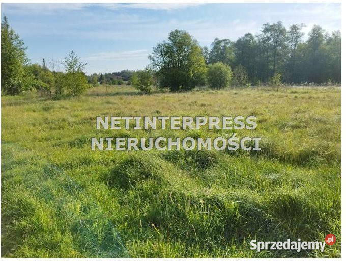 sprzedaży działki 11377m2 Radziejowice sprzedam