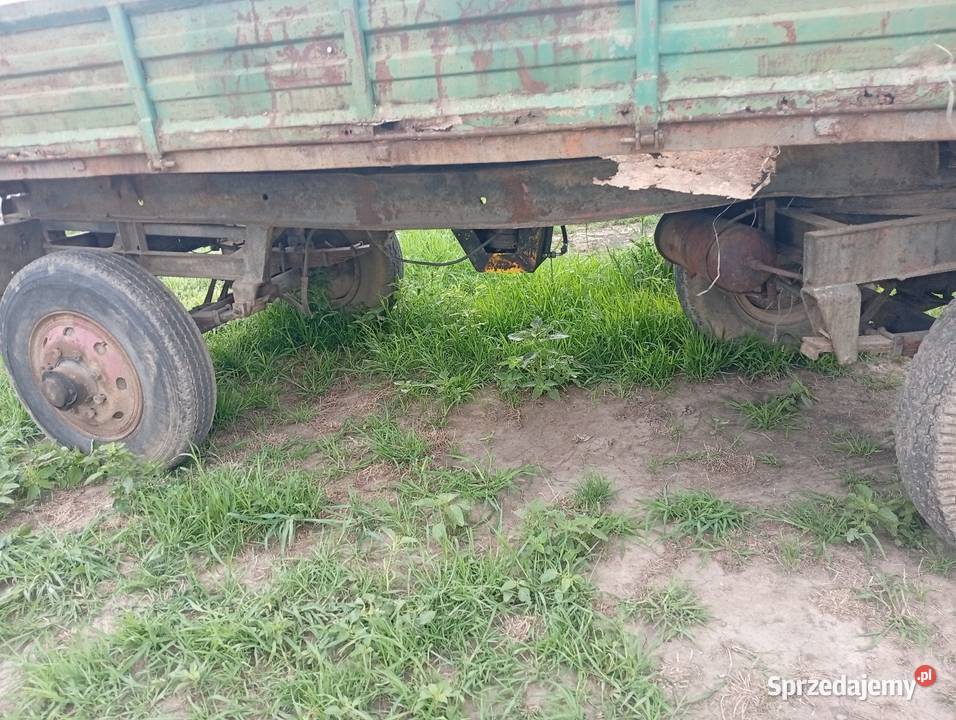 Przyczepa d50 kiper