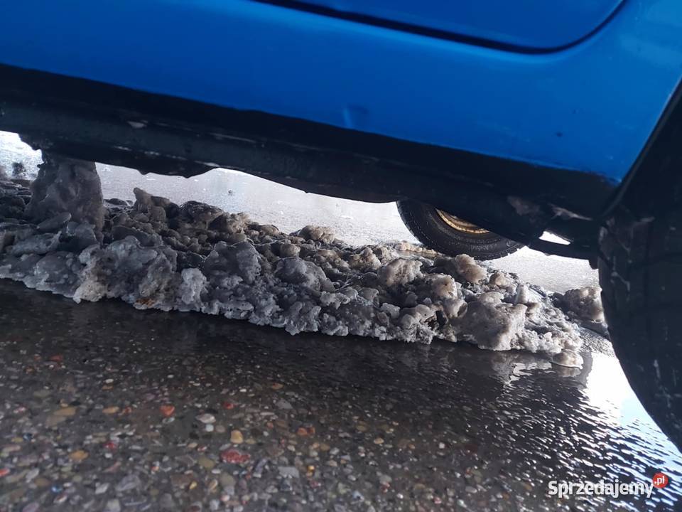 Fiat Panda 11 2004 Rok produkcji 2004 Panda Wojcieszków