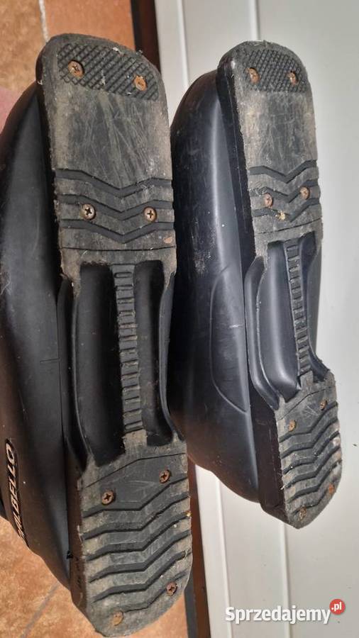 Buty narciarskie Dalbello Avanti truflex 90120 Świętochłowice sprzedam