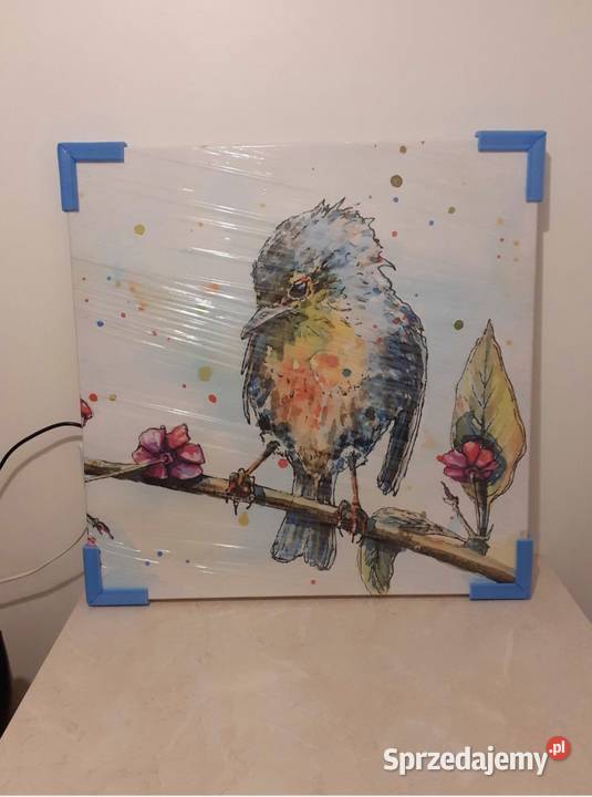 Obraz na płótnie 70 x 70 nowy ptak ptaszek Gierałtowice