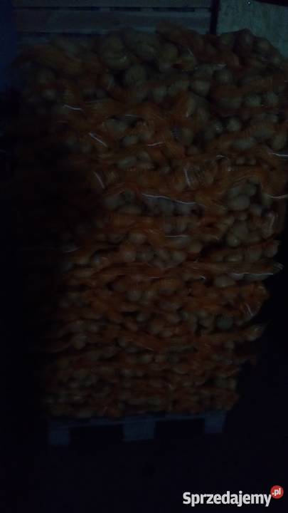 Sprzedam ziemniaki jadalne Marabell Bellarosa Borów-Kolonia