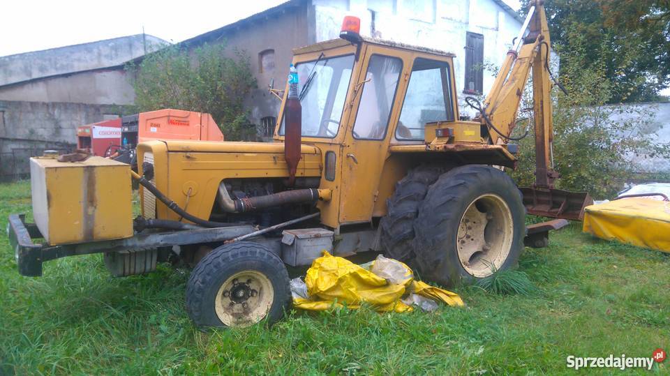 Pelikan zachodniopomorskie Biesiekierz