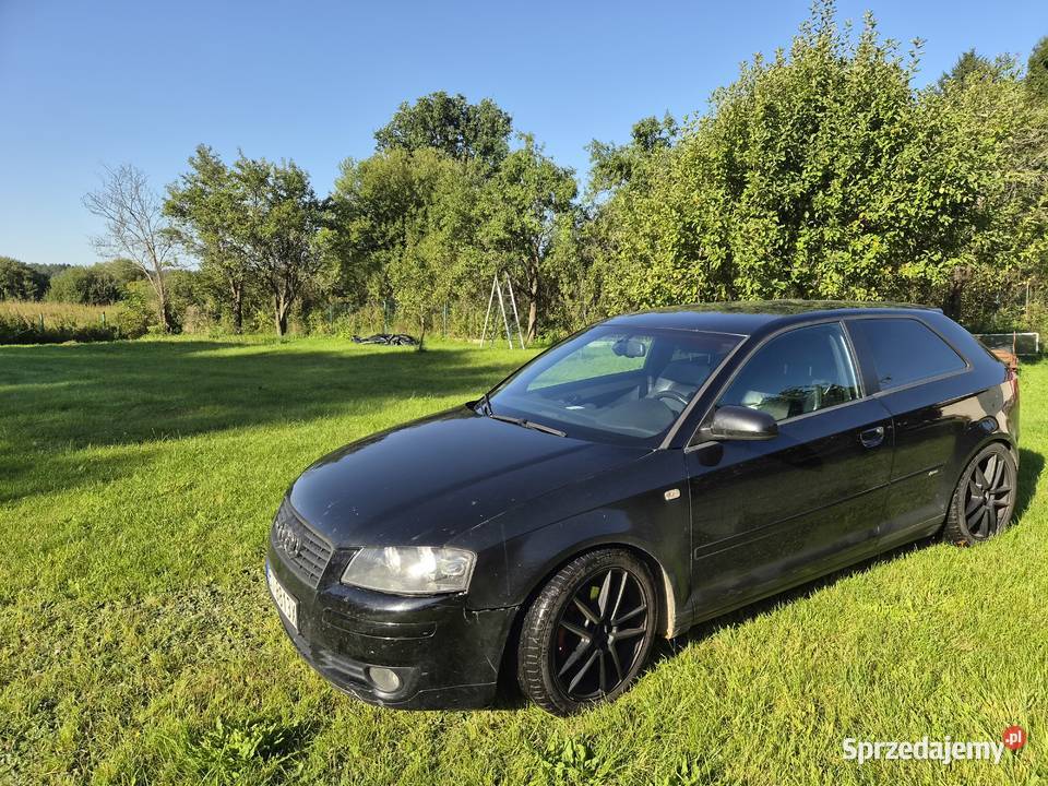 Audi A3 8P 20 TDI nieuszkodzony sprzedam