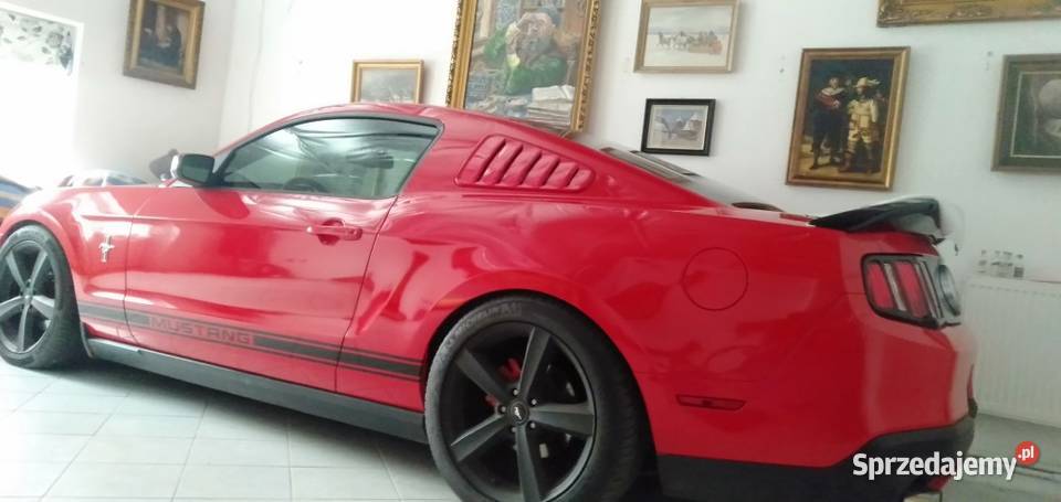 Nustang Premium Pony Package zadbany dużo skórzana tapicerka