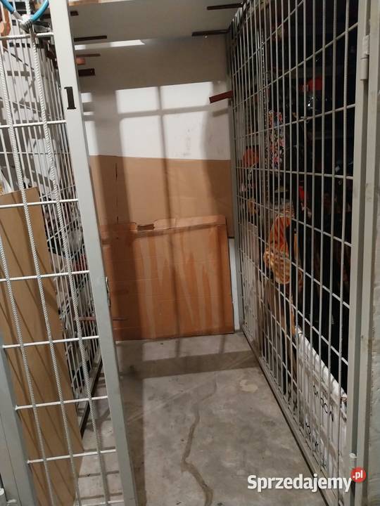 Do wynajecia piwnica komorka PORANNA Wrocław