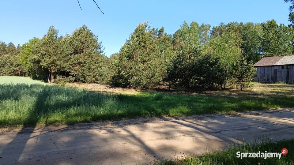 Działka rekreacyjna z warunkami zabudowy mazowieckie Dobrzanów