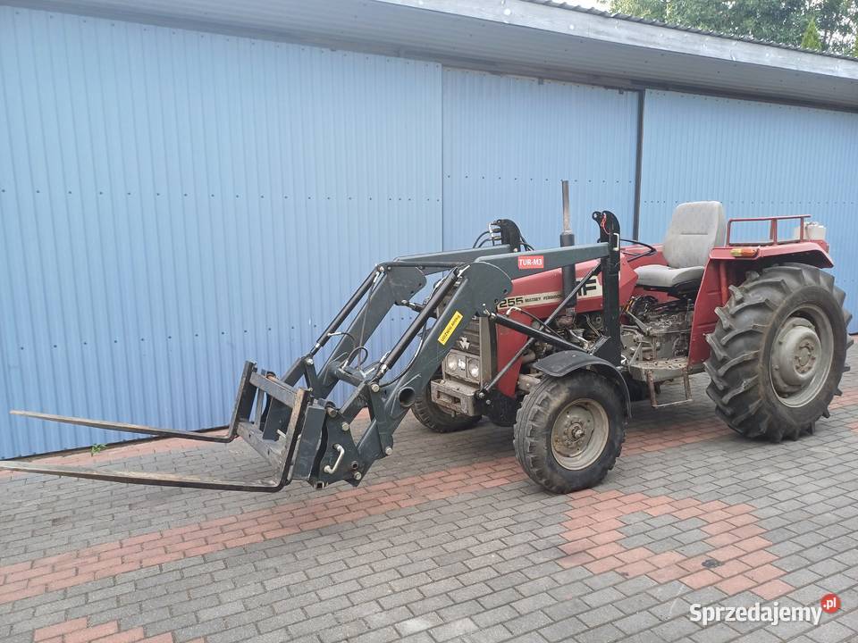 Ciągnik Massey Ferguson 255 Anglik Tur Polskowola