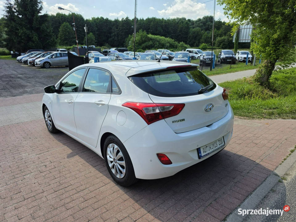 Hyundai i30 Hyundai i30 5 drzwi 14 benzynka 99 w Cielcza sprzedam