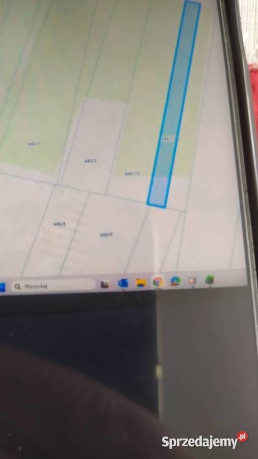 Sprzedam łake las Gołowierzchy